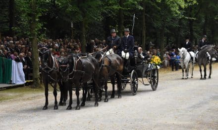 Tribünenkarten zur großen Parade