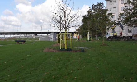 Metrowiese wieder hergerichtet