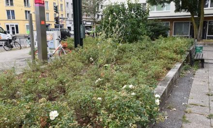 Blumenbeete verkommen.…