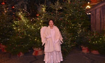 Weihnachtsmarkt in Düsseldorf eröffnet