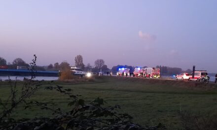 Autofahrerin landete im&nbsp;Rhein