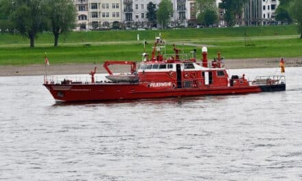 Männliche Person springt vor den Augen der Polizei in den&nbsp;Rhein