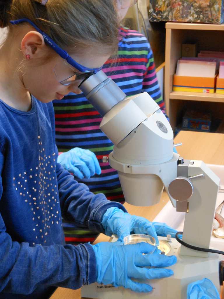 Ferienprogramm für Grundschulkinder: Während der Osterferien von Montag, 11. April, bis Freitag, 22. April, bietet das Aquazoo Löbbecke Museum, Kaiserswerther Straße 380, ein spannendes Angebot für Schülerinnen und Schüler,(c)Aquazoo Löbbecke Museum Ferienprogramm für Grundschulkinder: Während der Osterferien von Montag, 11. April, bis Freitag, 22. April, bietet das Aquazoo Löbbecke Museum, Kaiserswerther Straße 380, ein spannendes Angebot für Schülerinnen und Schüler,(c)Aquazoo Löbbecke Museum