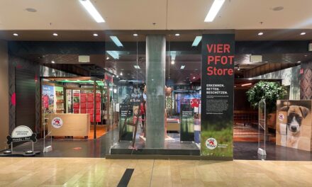 Drei Neueröffnungen in den Düsseldorf Arcaden in&nbsp;Bilk