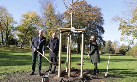 Ein Spitzahorn im Hofgarten zum Gedenken an Königin Elizabeth II.