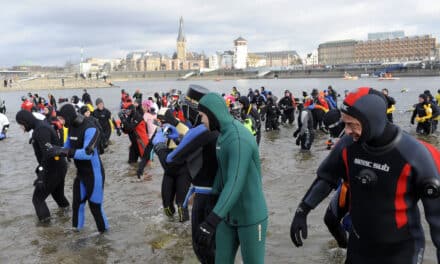 DLRG Neujahrsschwimmen im&nbsp;Rhein