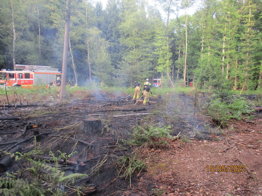Symbolbild Waldbrand ©&nbsp;Feuerwehr Düsseldorf