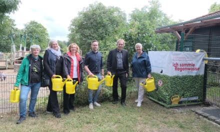Regenwasser sammeln und dem Stadtgrün Gutes&nbsp;tun