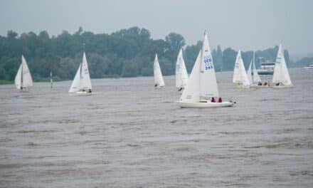 Rheinwoche 2024: Traditionelle Regatta zu Pfingsten auf dem&nbsp;Rhein