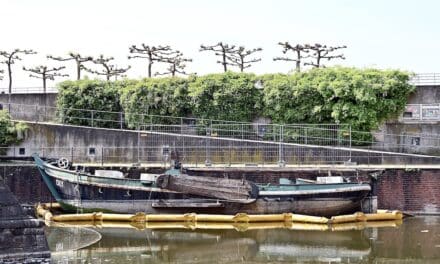 Historischer Moment im Alten Hafen: Hebung des Aalschokkers am Mittwoch, 5.&nbsp;Juni
