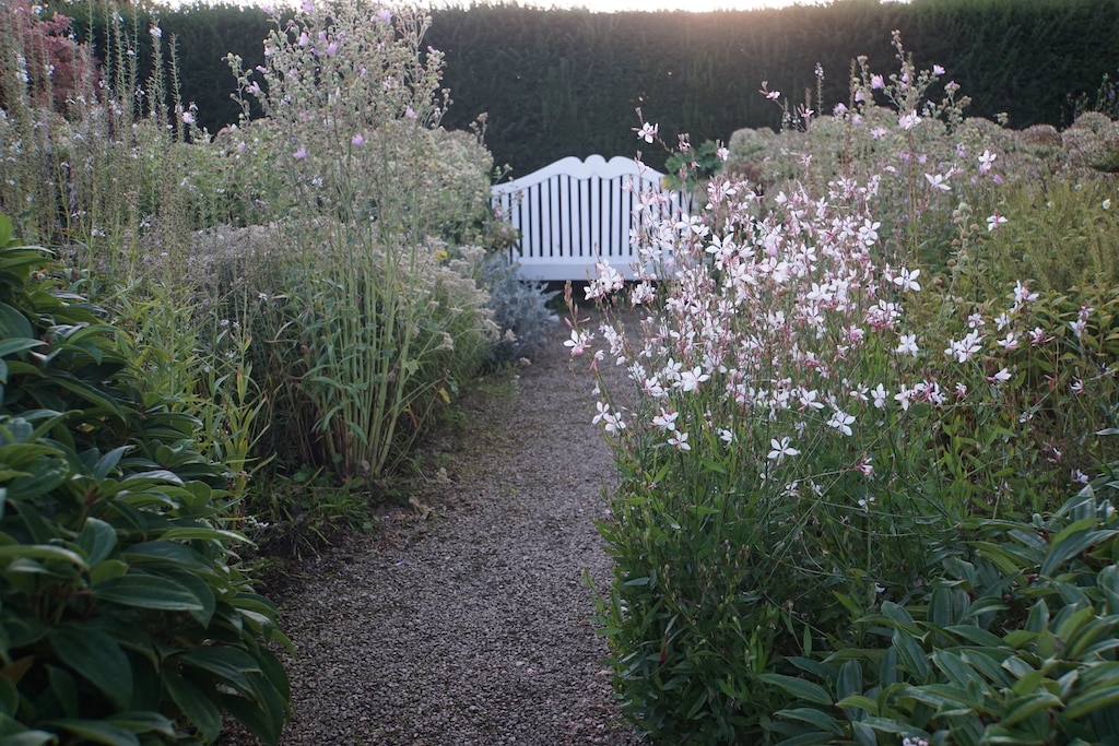 Symbolbild: Offene Gartenpforte,©Landeshauptstadt Düsseldorf/Gartenamt
