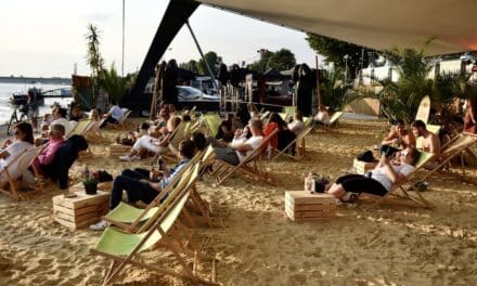 Filmabende unter freiem Himmel: Das alltours Kino 2026 im Rheinpark