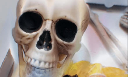 Halloween im Theatermuseum Düsseldorf: Gruselspaß für Klein und&nbsp;Groß
