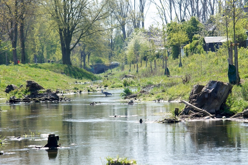 Düsseldorf und die südfranzösische Stadt Toulouse starten jeweils parallel einen Fotowettbewerb, der das Bewusstsein für die Anpassung an den Klimawandel schärfen soll. Im Fokus des diesjährigen Fotowettbewerbs steht in der Landeshauptstadt die südliche Düssel in Vennhausen. Zu sehen ist hier eines der zehn Siegerfotos von 2021: Bunte Tier- und Pflanzenwelt an der renaturierten Südlichen Düssel. © Landeshauptstadt Düsseldorf/Jens Hedtke