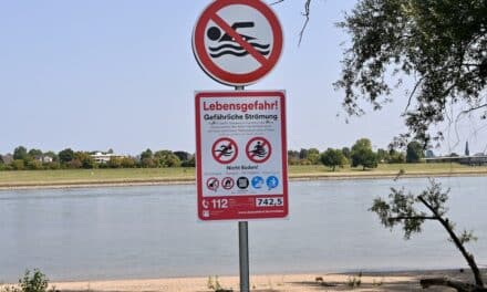 Badeverbot am Rhein: Ordnungsamt zieht nach Kontrollwochenende Bilanz