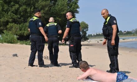 Badeverbot am Rhein: Ordnungsamt kontrolliert Ufer und belehrt 98 Menschen