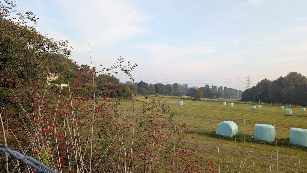 Auf dieser Wiese Am Fettpott soll die neue Ortsmitte von Angermund entstehen. So will es nicht nur die Politik, auch die Institutionen und Vereine©&nbsp;Gabriele Schreckenberg