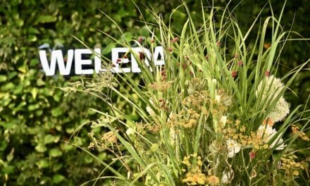 100 Jahre Skin Food: WELEDA feiert Jubiläum im Düsseldorfer City&nbsp;Spa