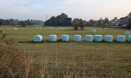 Noch viel Überzeugungsarbeit für neue Dorfmitte ‚Am Fettpott‘ in Angermund nötig