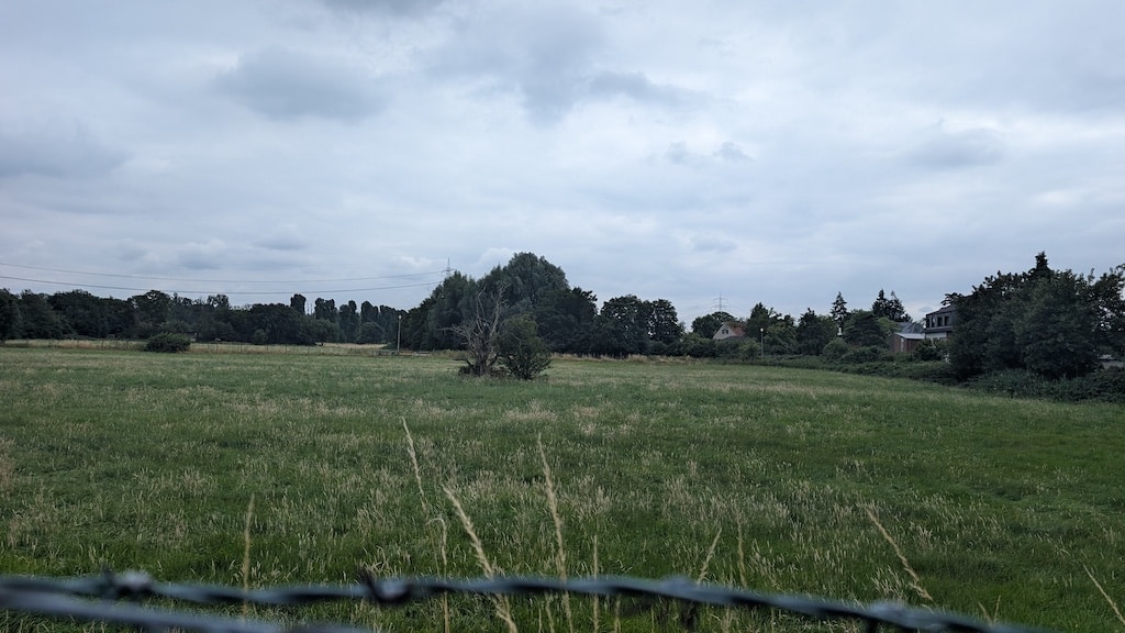 Die Wiese am Fettpott ist ein Projekt, welches Handwerk & Handel schon seit Jahren in Angriff genommen hat © Gabriele Schreckenberg