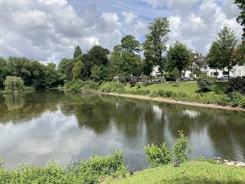 Der Ostparkweiher wird im Herbst 2026 entschlammt. Die vorbereitenden Arbeiten beginnen bereits im September. © Landeshauptstadt Düsseldorf/Gartenamt/Heimann